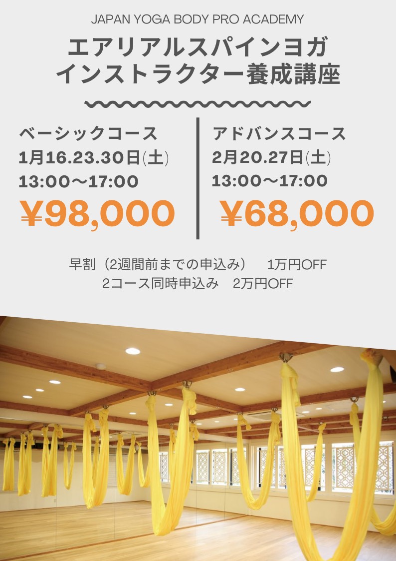 エアリアルコース